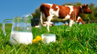 Çiğ süt tavsiye fiyatı litre başına 5,70 lira oldu