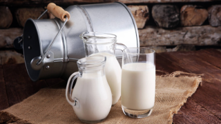 TZOB Başkanı Bayraktar: Çiğ süt fiyatı revize edilmeli