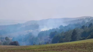 4 hektar alan Banaz'da çıkan orman yangınında zarara uğradı