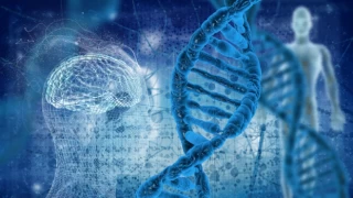 Bilim insanları ilk kez tam insan genomunu sıraladı