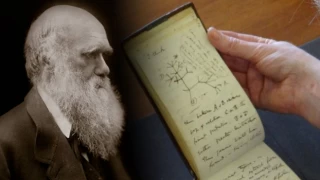 Charles Darwin'in 22 yıl önce çalınan defterleri geri döndü