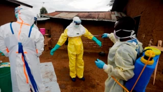Ebola virüsü tekrar ortaya çıktı