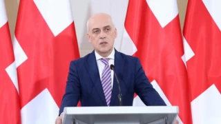 Gürcistan Dışişleri Bakanı David Zalkaliani istifa etti