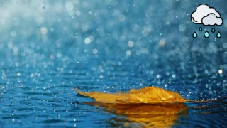 Meteoroloji’den 39 ile kuvvetli yağış ve toz taşınımı uyarısı
