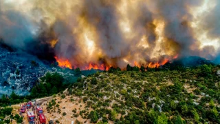 Şahan Gökbakar'dan orman yangınları göndermesi
