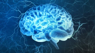 Sisli beyin nedir, neden olur, belirtileri nelerdir? Beyin sisi sorunu ile ilgili bilgiler!