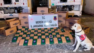 Soylu: Mersin Limanı'nda 258 kilo kokain yakalandı