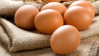 Tavuk yumurtası üretimi şubat ayında yüzde 7 azaldı