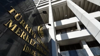 Şenol Babuşcu: Merkez Bankası aylık 10-12 milyar dolar satıyor