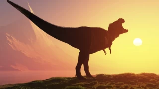 Avrupa'nın 'en büyük' kara dinozoru fosili İngiltere'de keşfedildi