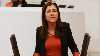 HDP'li vekil Züleyha Gülüm'den Onur Haftası etkinliklerinin yasaklanmasına ilişkin soru önergesi