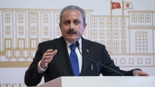 Mustafa Şentop: DBP milletvekilinin dokunulmazlığı kaldırılmalı
