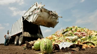 Türkiye'de her yıl çöpe giden yiyecek miktarı: Kişi başına 93 kilogram