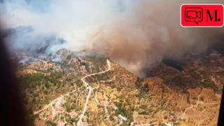Muğla Datça ve İzmir Çeşme'de orman yangınları