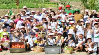 Yedikule Bahçe’de çocuklara yönelik hasat şenliği
