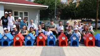 Asortie Mobilya ve Ataşehir Belediyesi’nden ortak kedi evi projesi