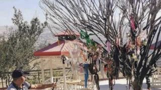 Erdoğan'ın ziyaret ettiği cemevi önündeki dilek ağacı yakılmak istendi