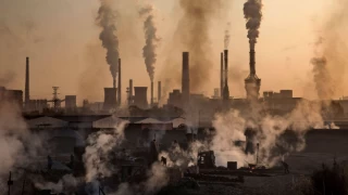 Fosil yakıtların neden olduğu hava kirliliği ölümlere sebep oluyor