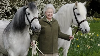 İngiltere Kralı 3. Charles, annesi Kraliçe 2. Elizabeth'in 14 atını satışa çıkardı