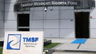 TMSF, Alfemo Mobilya'yı satışa çıkardı