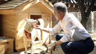 Kim Jong-Un tarafından hediye edilen köpek Güney Kore'de kriz yarattı!