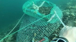 Marmara Denizi'nde kaçak 1 ton midye ele geçirildi