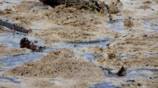 Meriç Nehri'nde görülen beyaz köpükler incelemeye alındı