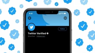 Twitter, mavi tik satışını durdurdu