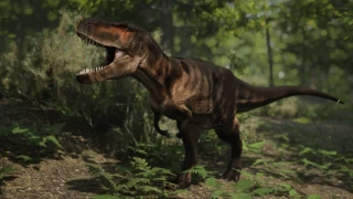 76 milyon yıl önce yaşayan yeni bir dinozor türü keşfedildi