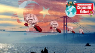 Beyin göçünün Türkiye’ye faturası