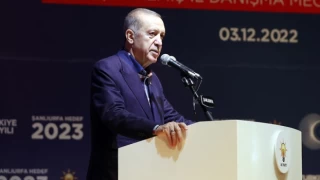 Cumhurbaşkanı Erdoğan'dan pamuk ve ayçiçeği üreticilerine destek açıklaması