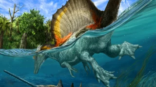 Dinozor türü 'Spinosaurus' hem karada hem de suda yaşamış olabilir