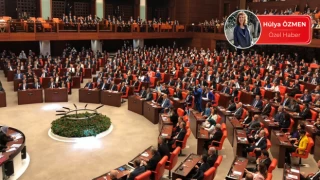 Kürtçenin Meclis halleri: Tutanaklara "(X)" olarak geçiyordu, yeni hali yıldız "(*)" oldu
