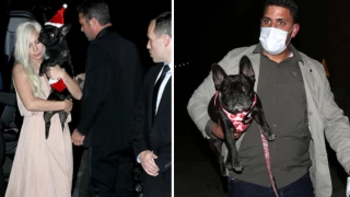 Lady Gaga'nın köpeklerini kaçıran ve gezdiren kişiyi vuran saldırgana 21 yıl hapis cezası