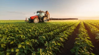 Tarımda Üretici Fiyat Endeksi yıllık bazda yüzde 139.49 arttı