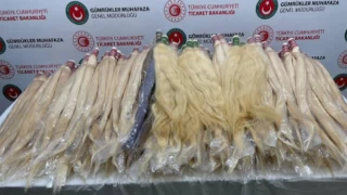 İstanbul Sabiha Gökçen Havalimanı'nda valizler dolusu kaçak insan saçı ele geçirildi