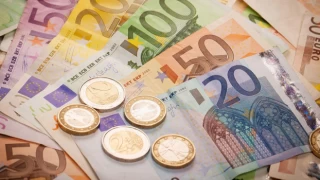 Polonya Merkez Bankası'nın görüşü: Euro’ya geçiş zarar verir