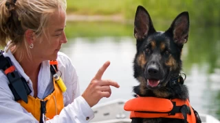 Arama kurtarma köpekleri nasıl eğitilir?