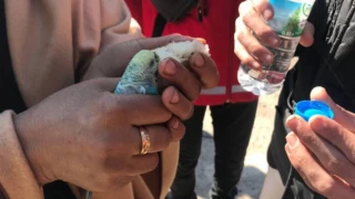 Küçük çocuk, 55 saat sonra enkazdan elinde tuttuğu muhabbet kuşuyla çıkarıldı