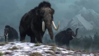 4.000 yıl önce soyu tükenen mamutların etinden köfte yaptılar