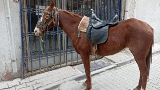 Alkollü olarak atıyla caddede dolaşan kişiye para cezası