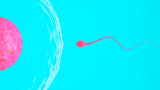 Sperm sayısını ve kalitesini neler etkiliyor?