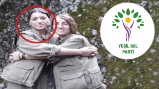 Yeşil Sol Parti milletvekili adayı Ayten Dönmez gözaltına alındı