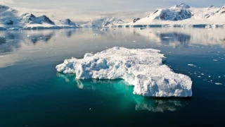'Buzlar kıtası' Antarktika'da alarm: Bu yıl rekor seviyede eriyor