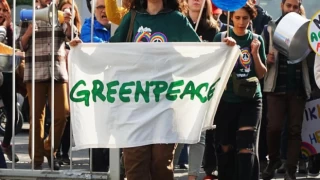 Rusya, Greenpeace'i "faaliyetleri istenmeyen" kuruluş ilan etti