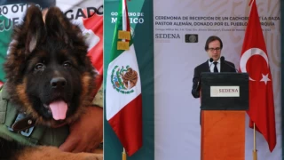 Türkiye’den Meksika’ya gönderilen yavru köpeğe ismi törenle verildi: 'Arkadaş'