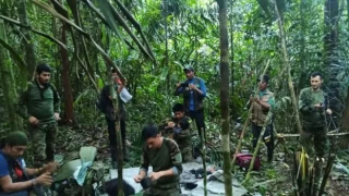 40 gün önce düşen uçaktaki 4 çocuk ormanda sağ bulundu
