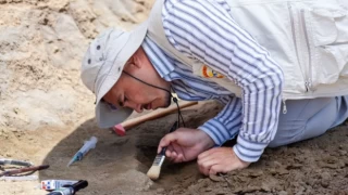 Çankırı'da dev gergedan fosiline ait kemikler bulundu