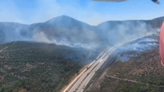 Urla'da seyir halindeyken alev alan otomobil orman yangınına neden oldu