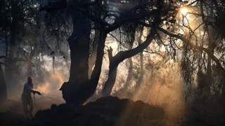 Çanakkale'deki orman yangınında son durum ne?